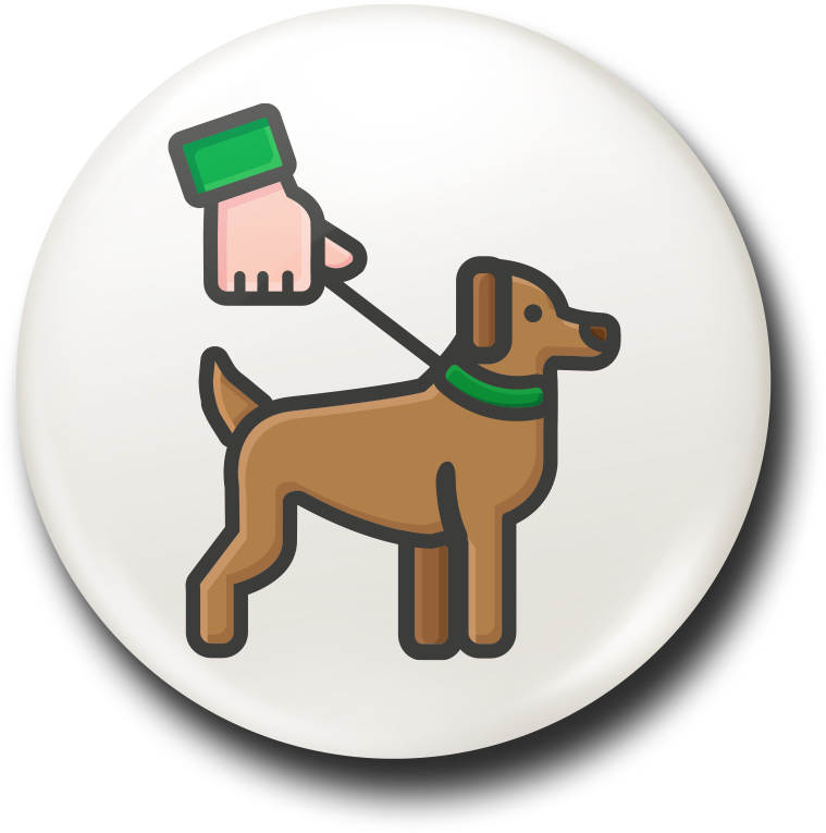 Aktivitet - Gå ut med hunden